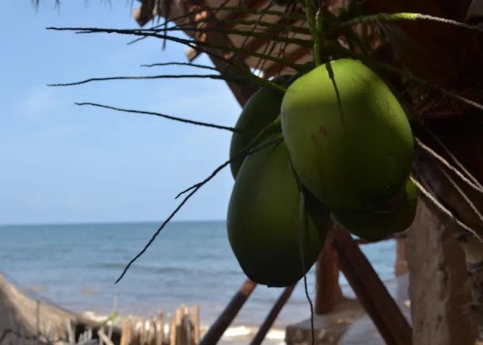 La Posada Del Sol Boutique Hotel Tulum